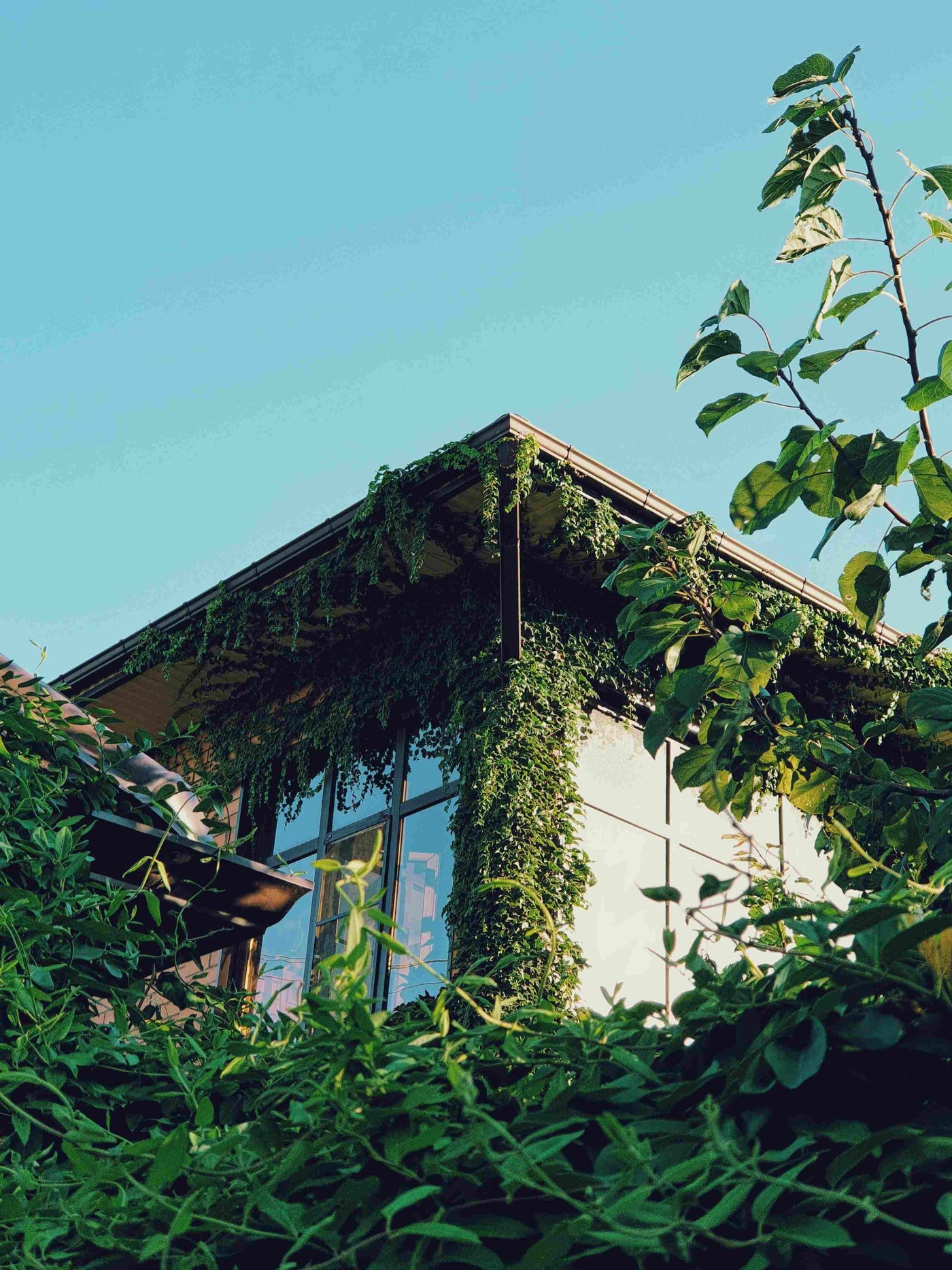 Navigating the EU Carbon Tax (CBAM): Why 21-Parkhouse is the "Green Pass" for Modern Architecture