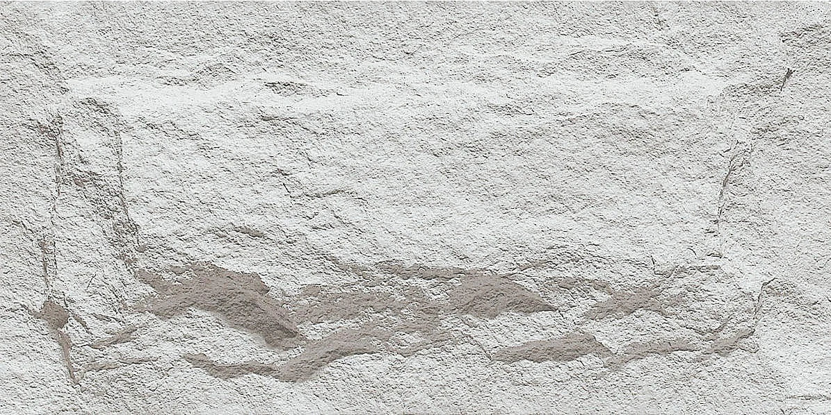 Anner Mushroom Stone