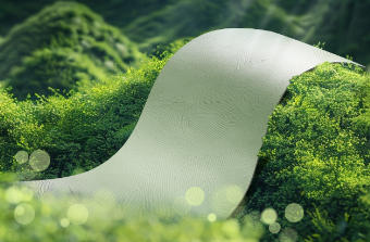 21ParkHouse® Flexible Stone Material Technology Co., Ltd.