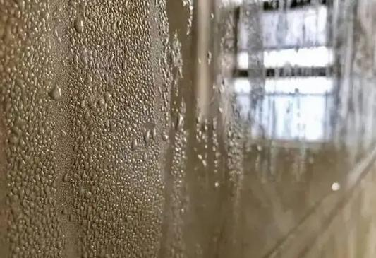 Damp, Moldy Walls in Spring? You Need This Moisture-Proofing Guide