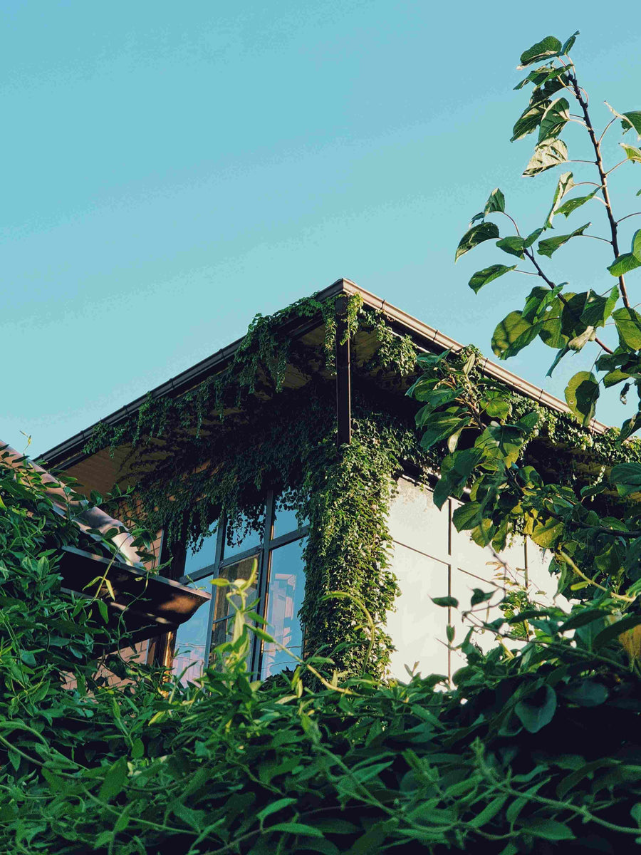 Navigating the EU Carbon Tax (CBAM): Why 21-Parkhouse is the "Green Pass" for Modern Architecture