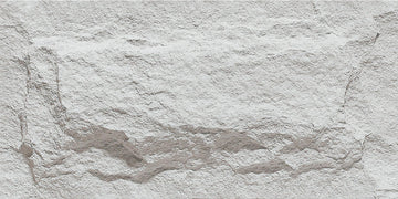 Anner Mushroom Stone 1
