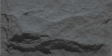 Anner Mushroom Stone 4