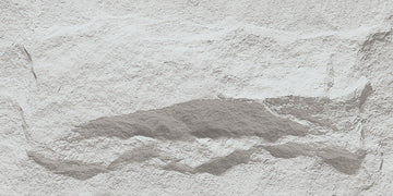 Anner Mushroom Stone 3