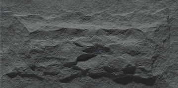 Anner Mushroom Stone 2