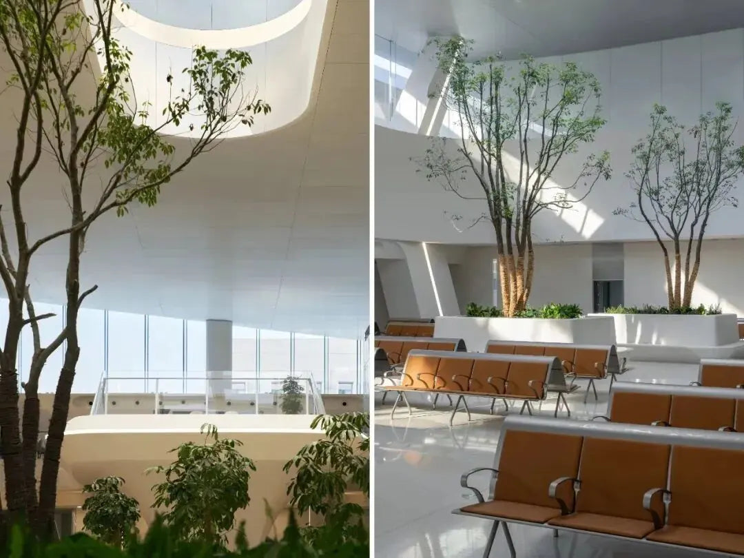 Bright interior with natural light and indoor greenery
