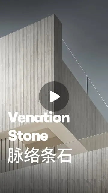 Venation Stone Instagram reel cover